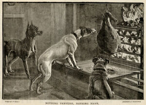 MANCHESTER TERRIER SMOOTH FOX JACK RUSSELL & PUG ANTIQUE DOG PRINT 1890's