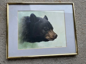 Stampa orso Michael Dumas 1990 incorniciata - Foto 1 di 10