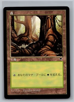 Forest 348 FBB Magic the Gathering JAPANESE Tempest MTG Douglas Shuler Land Pond - Image 1 of 2
