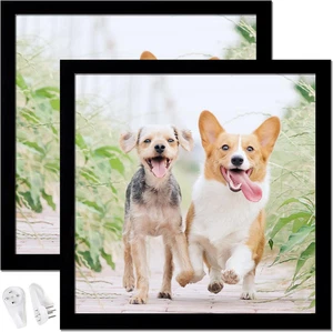 12x12 Bilderrahmen 2er Set, Schwarz Quadratisch Bilderrahmen Hochtransparent Wand Ga - Bild 1 von 12