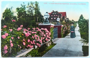 1909 Rose Sidewalk Pasadena California cartolina d'epoca donna signora viaggio in strada - Foto 1 di 2