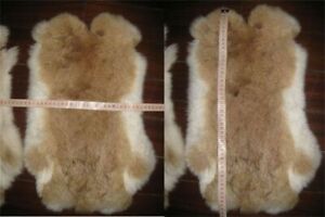 Dyed Real Rabbit Skin DIY Apparel Sewing Fabric Fluffy Leather Fur Home Decor