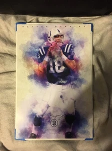 Indianapolis Colts Peyton Manning Statue Unveiling Jersey Retirement SGA Poster - Picture 1 of 1