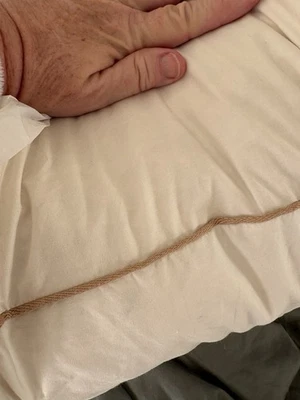 Almohada de plumas cuadrada West Elm Euro 26" ARTÍCULO DE EXHIBICIÓN Foto 1 de 4