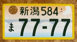 JDM real genuine japanese license plate NIIGATA - Bild 1 von 2