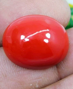 AAA+ Natural Red Coral 26.85 CT Oval Cabochon Cut Italian Loose Gemstone - Picture 1 of 8