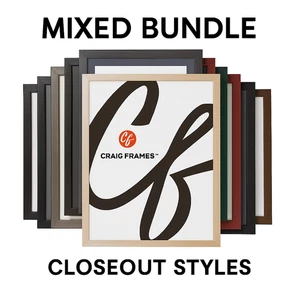 10 Piece Set Mixed Premium Picture Frames - Closeout Styles & Colors Bundle - Picture 1 of 1