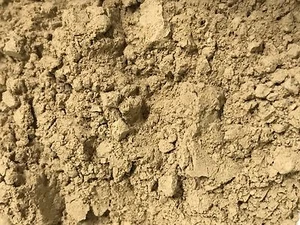 NZ Green Lipped mussel 10:1 Extract Powder-100gms- Arthritis - Picture 1 of 2