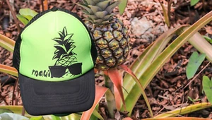 Gorra Hawaii Piña Camionero Gorra Snapback Malla Surfware Clásica - Imagen 1 de 8