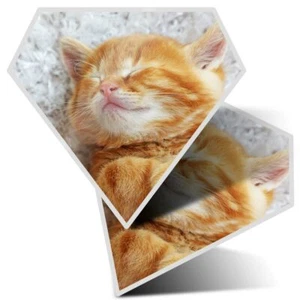2 x Diamond Stickers 10 cm - Cute Ginger Kitten Cat Pet #24497 - Bild 1 von 9