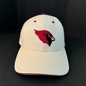 Vintage Arizona Cardinals NFL Officially Licensed 30% Wool Fitted Cap Hat 7 1/8 - Picture 1 of 7