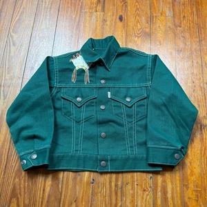 Chaqueta Levis Vintage Niños Jóvenes Talla 15x16 Southwestern Cactus Verde Años 80 - Imagen 1 de 9