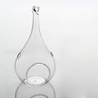 6-36pcs Hanging Teardrop Baubles Transparent Glass Plant Candle Tea Light Holder