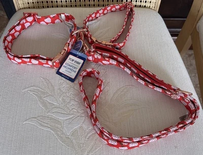 Top Paw Strawberries Neoprene (2) Dog Collars (M) w/Matching Leash (4ft) - Image 1 of 3