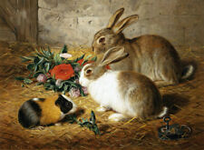 Home Art Wall Decor Two Rabbits and a Guinea Pig Oil Painting Printed On Canvas