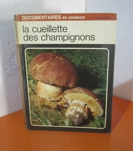 La cueillette des Champignons.Uberto TOSCO / Annalaura FANELLI. SV3 - Imagen 1 de 1