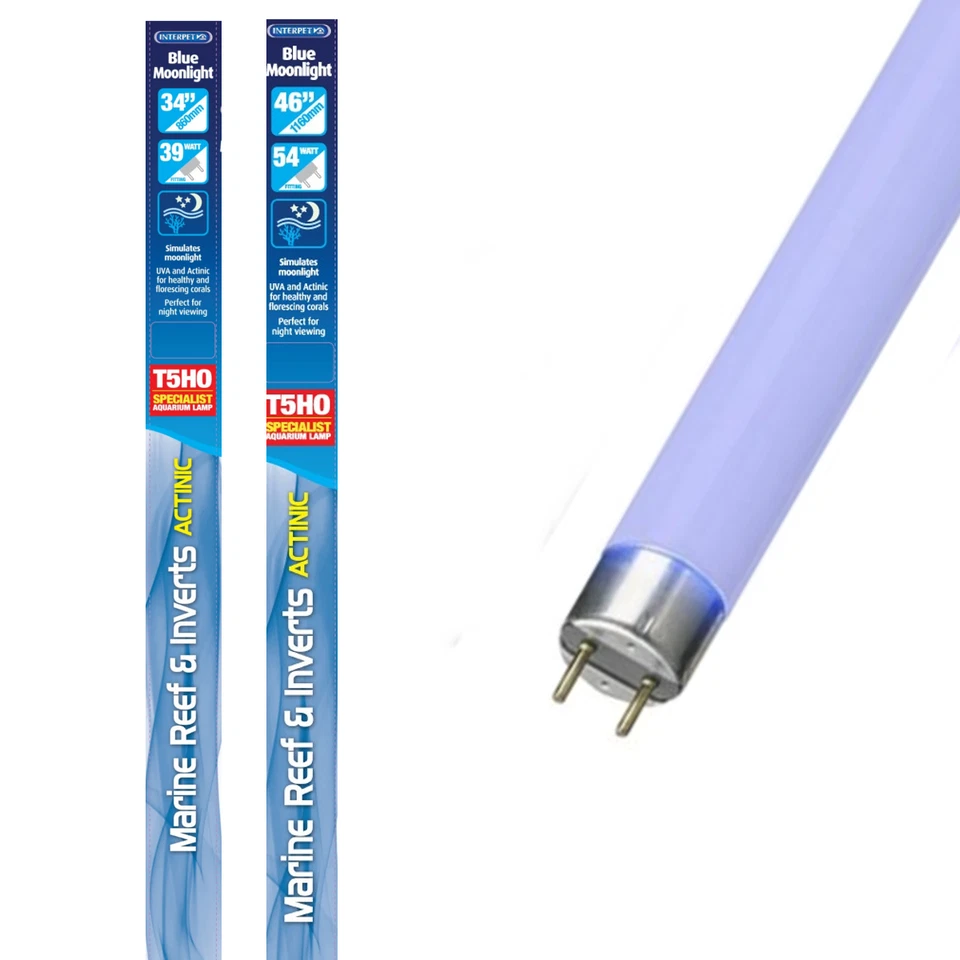 INTERPET T5 HO BLUE MOONLIGHT AQUARIUM UV LINEAR BULB TUBE LIGHT FISH - Image 1 of 1