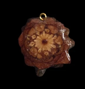 Knobcone PENDANT - Picture 1 of 2