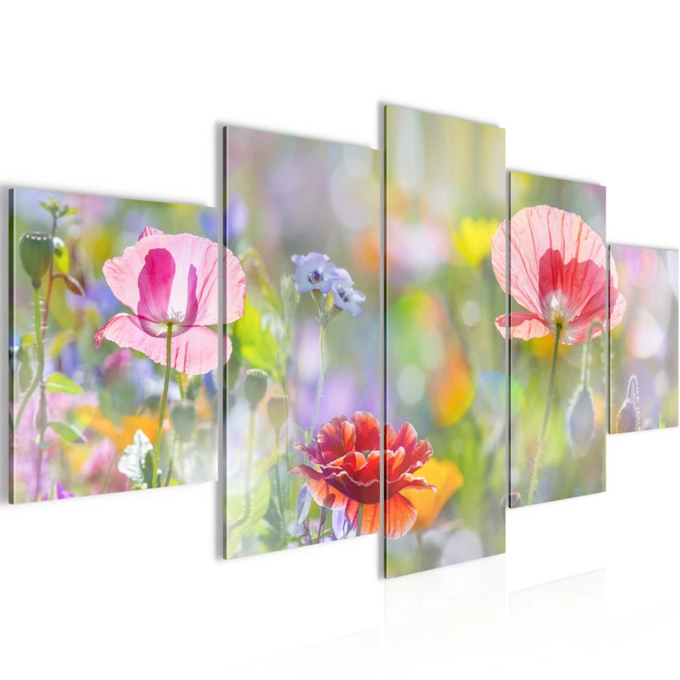Wandbilder Wohnzimmer XXL Blumen Mohnblumen Moderne Bild Natur - Bild 1 von 1