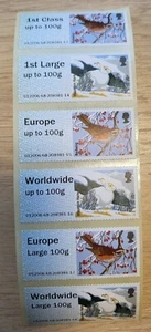 NCR-2ND CLASS FUR & FEATHERS WITH 1ST VALUES ERROR -COLLECTOR / OPEN VALUE SETS - Picture 1 of 5