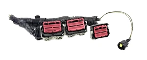 Ford Edge Lincoln MKX 2008-2010 ECM ECU 8T4A-12A650-DE arnés de cableado coletas - Imagen 1 de 5