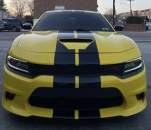 8" Rally stripes Stripe Graphics fit any model 2009-2023 Dodge Charger GT SXT RT - Picture 1 of 8