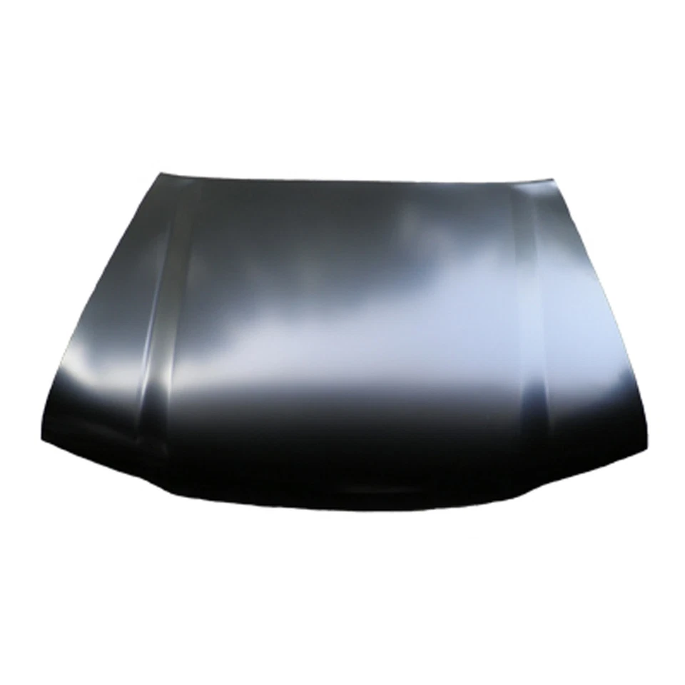 TO1230175 New Replacement Hood Fits 1998-2007 Toyota Land Cruiser Foto 1 de 1