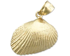 Colgante de concha marina con almeja de molusco de oro de 14K - Imagen 1 de 6