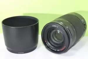 Panasonic Lumix G X Vario 35-100mm f/2.8 Power OIS H-HS35100 Zoom Lens Tested - Picture 1 of 5
