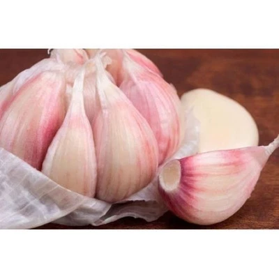 Aglio rosso Gardos bulbi da seme cal 45/50 500gr - Immagine 1 di 2