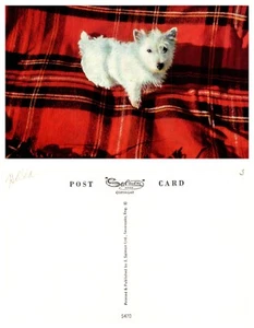 Westie on Plaid Blanket Vintage Chrome PC - Picture 1 of 1