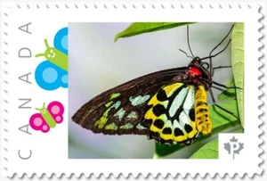 BUTTERFLY = YELLOW and GREEN ** Picture Postage Canada 2019 p19-04-s21 MNH - Picture 1 of 2