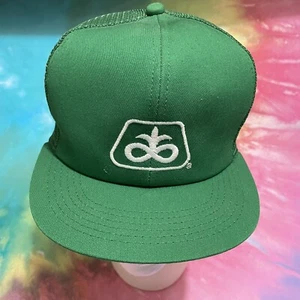 Pioneer Seeds YOUTH Green Twill Mesh Snap Back Baseball Cap Dad Trucker Hat USA - Picture 1 of 10