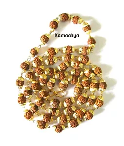 Rudraksha con gorra chapada en oro Mala 5 cuentas Mukhi cara Rudraksh - Imagen 1 de 1