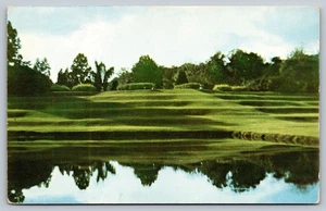 Vintage Middleton Gardens Charleston SC Terraced Garden Postcard - Picture 1 of 2