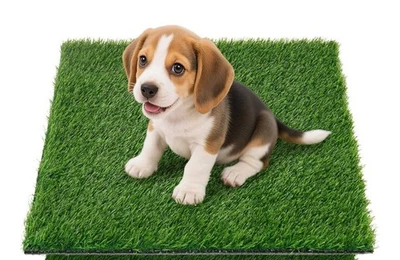 Almohadilla de repuesto de césped artificial para mascotas 18"x28" Foto 1 de 4