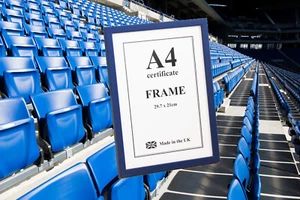 Fußball blau Holz Foto Bild Zertifikat Rahmen viele Größen - Bild 1 von 2