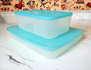 Pair of Tupperware Freezer Mates Rainbow Weeks 1989 2096A & 2094A - blue lids - Picture 1 of 4