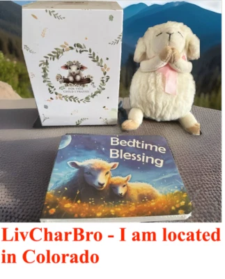 Подарочный набор на крещение ребенка 7 дюймов плюшевая книга благословения для молящегося ягненка - Изображение 1 из 4