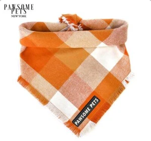 Bandana - Zucca - Foto 1 di 7