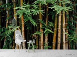 3D Bamboo Forest Self-adhesive Removeable Wallpaper Wall Mural - Picture 1 of 9