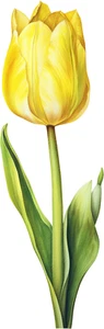 Autoaufkleber Sticker Tulpen Blumen Garten Natur Aufkleber - Bild 1 von 1