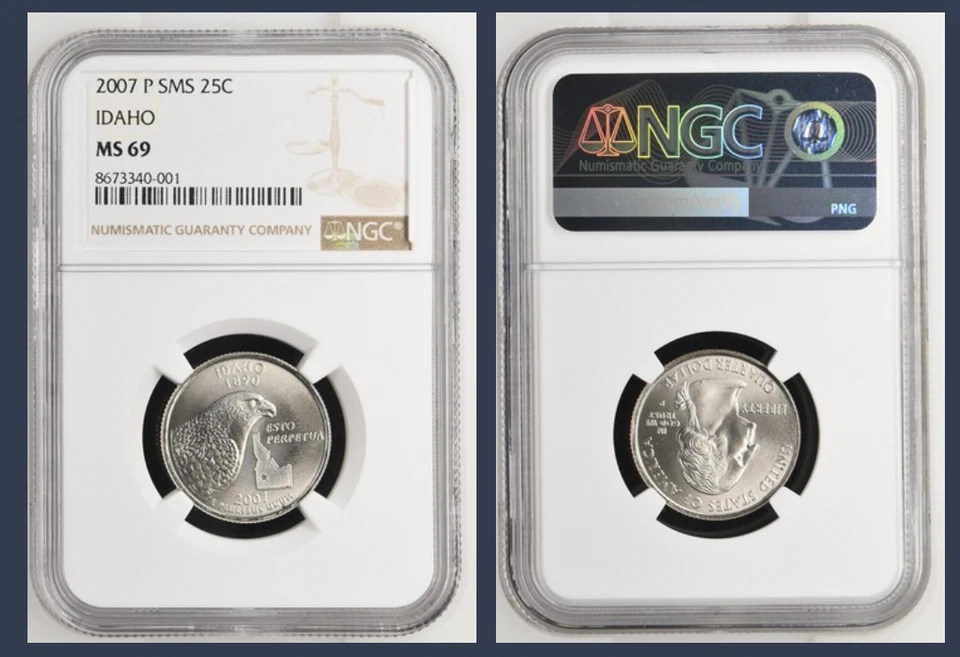 MS69 2007-D Washington State Quarter Idaho NGC - Image 1 of 1
