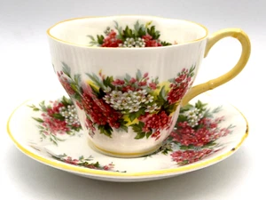 Royal Albert  Teacup & Saucer Set Blossom Time Series Hawthorn Bone China - Picture 1 of 14