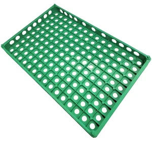 2 PACK STACKING 150 QUAIL EGG CAPACITY POLY TRAYS PIGEON DOVE BIRD FLAT CARTON - Picture 1 of 4