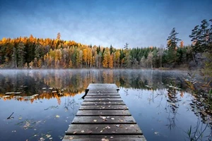 Fototapete - WANDERBRÜCKE - (6778) - VLIES - Tapete - Wald Fluss Sonne XXL - Bild 1 von 1