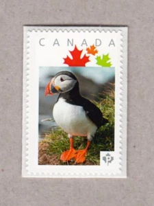 ATLANTIC PUFFIN = exotic bird = Picture Postage stamp MNH Canada 2017 p17-01pf - Picture 1 of 2