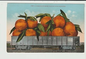 POSTKARTE ÜBERTRIEBENE EISENBAHN FLACHWAGEN NABEL ORANGEN AUS KALIFORNIEN - Bild 1 von 2