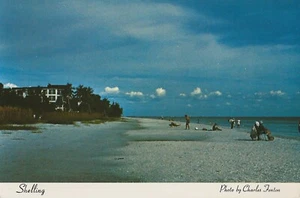 Postcard Florida "Shelling" Sanibel Island Blind Pass Beach Pre-Hurricanes MINT - Picture 1 of 1