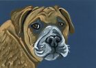 ACEO ATC Original Miniature Painting Pit Bull Dog Pet Art-C. Smale